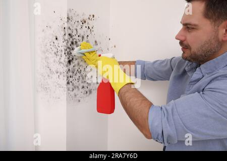 Uomo con guanti di gomma che utilizza un dispositivo di rimozione dello stampo e una spazzola sulle pareti della camera Foto Stock