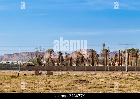 Paesaggio di Muzahmiyah - luce mattutina. Foto Stock