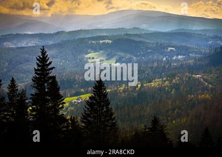 Montagne lesiane boschive di Beskids sul sentiero principale di Beskid, Voivodato della Slesia, Polonia. Foto Stock