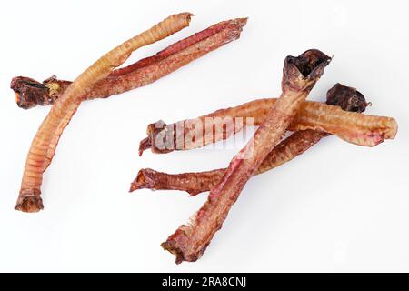 Vista dall'alto delle prelibatezze naturali per cani. Trachea secca per cani premianti isolati su sfondo bianco Foto Stock