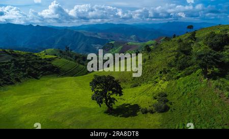 Panoramica di un paesaggio collinare idilliaco con prati in fiore e catene montuose sullo sfondo in una splendida giornata di sole con cielo blu e nuvole Foto Stock