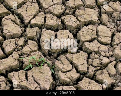 Crepe nella terra parcheggiata, grande secchezza Foto Stock