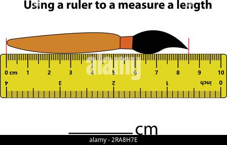 Misurazione della lunghezza in centimetri con il righello. Foglio di lavoro per lo sviluppo dell'istruzione. Gioco per bambini. Puzzle per bambini. Illustrazione vettoriale. stile cartoni animati Illustrazione Vettoriale