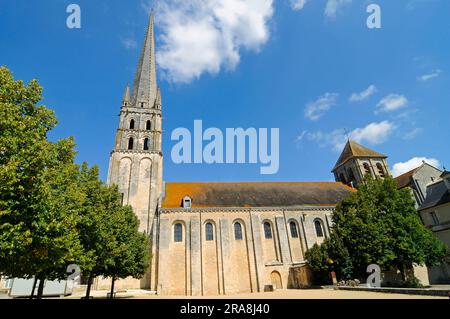 Chiesa abbaziale romanica, Saint-Savin-sur-Gartempe, fiume la Gartempe, Vienne, Poitou Charentes, Francia Foto Stock