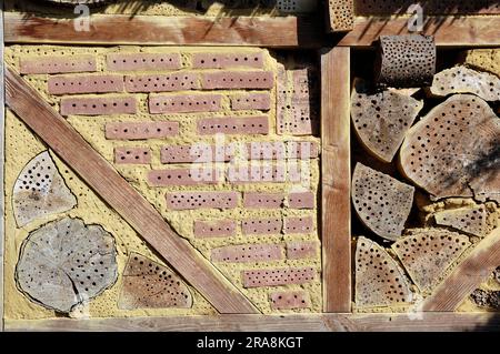 Coadiuvanti per la nidificazione di api selvatiche e altri insetti, insetti hotel, nwand, nstand, apicoltura, Conservazione della natura, Renania settentrionale-Vestfalia, Germania Foto Stock