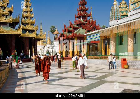 Hsan-Daw-Dwin-Tauzung, Northern Terrace, Shwedagon Pagoda, Rangoon/Yangon, Birmania, Myanmar, Rangoon Foto Stock