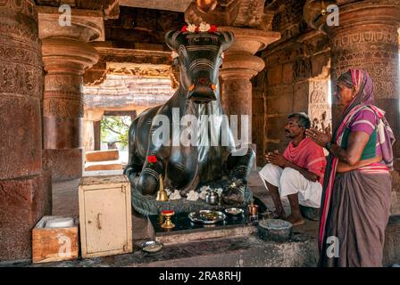 Adorando l'enorme toro di Nandhi nel Tempio di Virupaksha a Pattadakal, Karnataka, India, Asia. Sito patrimonio dell'umanità dell'UNESCO. vii e viii secolo Foto Stock