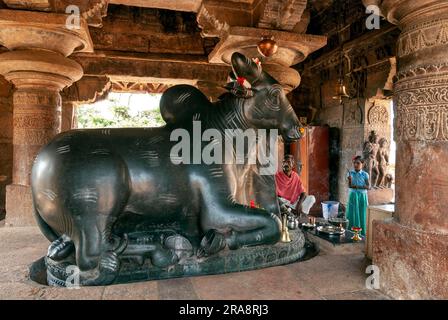 Nandhi toro enorme con prete nel tempio Virupaksha a Pattadakal, Karnataka, India, Asia. Sito patrimonio dell'umanità dell'UNESCO. vii e viii secolo Foto Stock