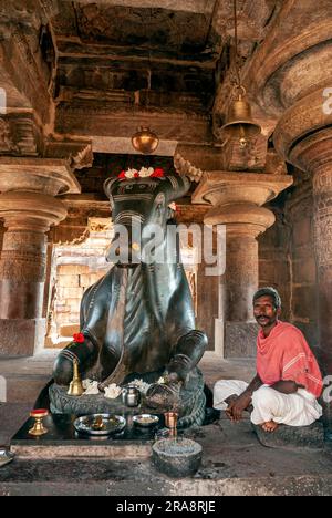 Nandhi toro enorme con prete nel tempio Virupaksha a Pattadakal, Karnataka, India, Asia. Sito patrimonio dell'umanità dell'UNESCO. vii e viii secolo Foto Stock