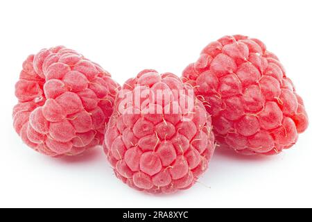 Mazzo di frutti di lampone isolato su sfondo bianco da vicino. Il file contiene il percorso di ritaglio. Profondità di campo completa. Foto Stock