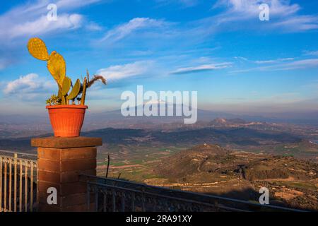 Vaso di fico di pera e vulcano Etna coperto di neve sullo sfondo. Aidone, Sicilia Foto Stock