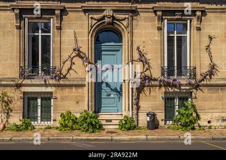 Facciata di una casa ben decorata in Francia, un albero da arrampicata con fiori viola su una stretta porta blu Foto Stock