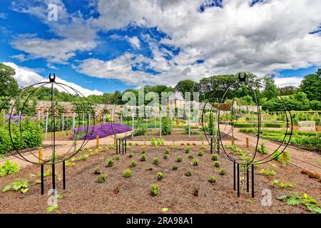 Castello di Fyvie Fyvie Aberdeenshire Scozia una vista sul giardino murato all'inizio dell'estate con obelischi metallici rotondi Foto Stock