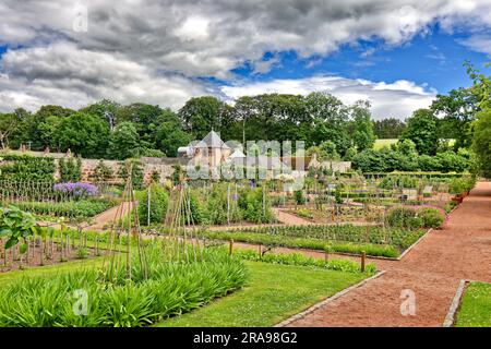 Castello di Fyvie Fyvie Aberdeenshire Scozia una vista sul giardino murato all'inizio dell'estate Foto Stock