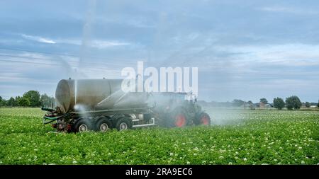 il trattore con sprinkler su giacimenti di patate irriga il terreno asciutto in belgio, vicino a brugge e ostenda Foto Stock