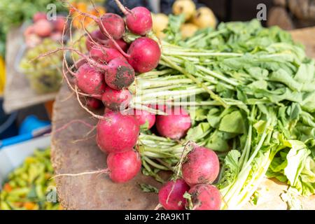 si irradia in una scatola di plastica per la vendita sul mercato Foto Stock