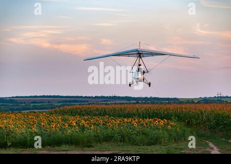 Il deltaplano motorizzato bianco vola in basso sopra il campo di girasole al tramonto in Ucraina Foto Stock