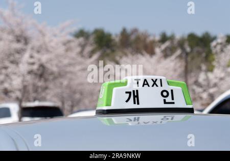 Cartello taxi sulla parte superiore dell'auto con sfondo in fiore di ciliegio, Corea del Sud Foto Stock