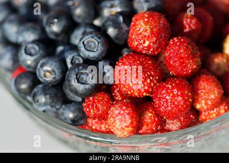 Recipiente di vetro con mirtilli europei freschi e fragole selvatiche in estate. Foto Stock