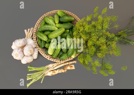Il decapaggio di cetrioli Foto Stock