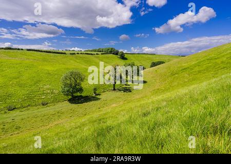 La tranquilla valle del Thixendale meridionale (Thixen Dale) nello Yorkshire Wolds. Foto Stock