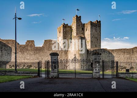 Bandiere che volano al Castello di Trim, situato dall'altra parte della strada, dalle porte alla chiesa cattedrale di San Patrizio. Foto Stock