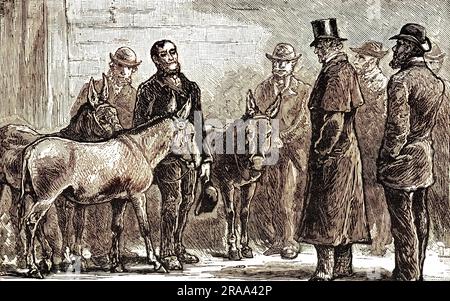 ANTHONY ASHLEY COOPER, settimo conte di SHAFTESBURY, ispeziona gli asini dei costermonger, Londra. Data: 1801 - 1885 Foto Stock