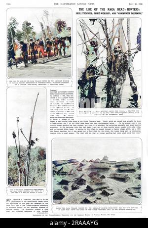 Il sig. A. S. Vernay ha visitato un villaggio delle Nagas birmane a caccia di testa con la spedizione del Museo Americano di Storia Naturale, scattando le fotografie che appaiono in questa pagina che includono, in senso orario dall'alto a sinistra: La chiamata alle armi nel villaggio di Naga-guerrieri che batterono su un tronco di albero cavo; Prove terribili di caccia alla testa tra i Nagas- due teschi appena acquisiti, ciascuno montato sul suo albero sacrificale; Hathi, il villaggio di Naga con capanne in cima alla collina situato a 2178 metri sopra il livello del mare nella zona superiore di Chindwin dell'entroterra birmano; e segni del Nagas superstizioso spirito-adorazione- le gambe Foto Stock