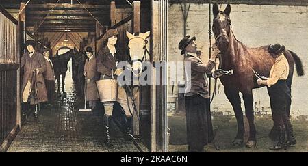 Scene in un riscatto militare convalescente, dove erano impiegate da 40 a 50 donne di caccia. Il deposito era sotto il District Remount Officer for Berkshire, Mr Cecil Aldin (il noto artista animale e sportivo e anche Master of the South Berks Hunt) che era responsabile del controllo, dell'organizzazione e della cura dei cavalli. Tutto il lavoro stabile e l'esercizio fisico sono stati fatti da donne, che erano per lo più a caccia di donne di ogni contea in Inghilterra. Le fotografie mostrano le stalle e la capofila che supervisionava ogni deposito. Data: 1915 Foto Stock