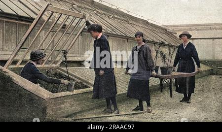 Quattro donne giardiniere nei giardini del re a Frogmore, nel castello di Windsor, che lavoravano nelle serre al posto di giardinieri maschi durante la prima guerra mondiale. Data: 1916 Foto Stock