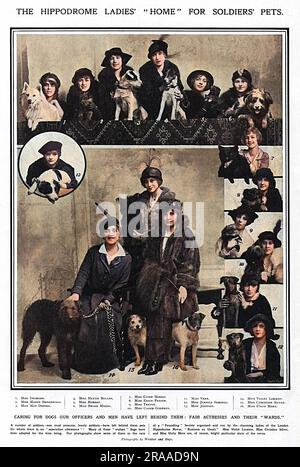 Attrici della London Hippodrome Revue in posa con i cani per cui avevano fornito case mentre i loro proprietari soldato erano via a combattere al fronte. Tra i sostenitori di queste pooches orfane c'erano Miss Unity More (16) e Miss Violet Loraine (14). Data: 1915 Foto Stock