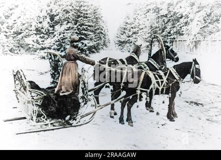 Un palazzo di fine ottocento russo decorativo Cavallo sledge chiamato Trioka. Troika è la parola russa per 'tripletta' o 'trio' essendo questo riferimento al fatto che troikas hanno tre cablaggi come sono tirati da tre cavalli. Data: tardo XIX secolo Foto Stock