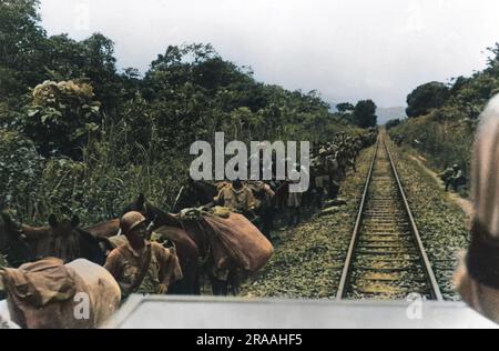 Una divisione dell'esercito cinese sulla linea ferroviaria tra Myitkyina e Mogaung in Birmania Data: Set-44 Foto Stock