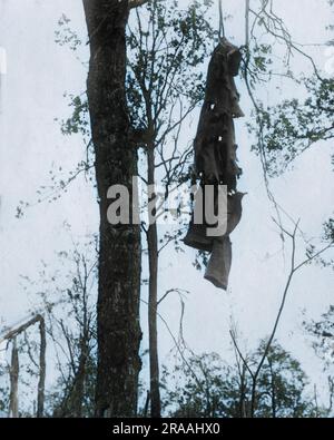 Un soprabito tedesco appeso a un albero sul fronte occidentale durante la prima guerra mondiale -- una vista frequente, probabilmente il risultato del fuoco di proiettili. Data: Circa 1916 Foto Stock