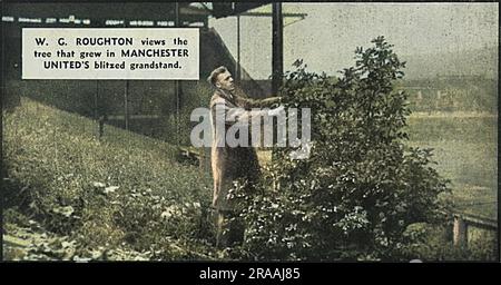 Lo stand principale danneggiato a Old Trafford, sede del Manchester United Football Club. W G Roughton vede l'albero che è cresciuto nella tribuna. Data: 1944 Foto Stock