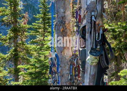 L'attrezzatura per arrampicata bagnata si aggancia da un albero fino ad asciugarsi. Stuart Mountains, Cascade Range, Washington Foto Stock