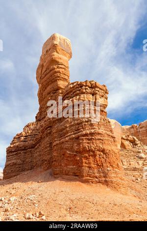 Formazioni rocciose, vicino a Bluff, Utah, USA, di Dominique Braud/Dembinsky Photo Assoc Foto Stock