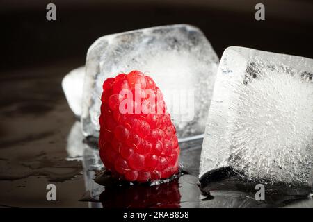 Un lampone su un piatto nero in acqua e cubetti di ghiaccio da vicino, frutti di bosco Foto Stock