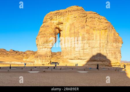 Monolito di erosione di roccia di elefante di arenaria che si erge nel deserto, al Ula, Arabia Saudita Foto Stock