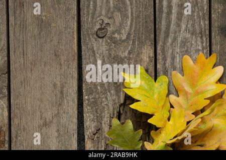 un ramo di quercia gialla in autunno giace su un tavolo di legno Foto Stock