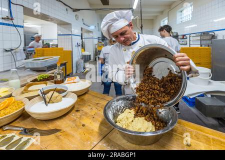 Produzione di un originale Dresda Christstollen a Dresda, Germania. Il mastro panettiere Tino Gierig aggiunge l'uva passa conservata nel rum bruno all'impasto a feci. Le sultanine costituiscono il 60% della massa qui Foto Stock