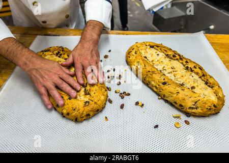 Produzione di un originale Dresda Christstollen a Dresda, Germania. Dopo il raffreddamento, inizia il massaggio delle feci. Le uva passa sulla superficie dello sgabello sono bruciate e influenzerebbero il gusto, quindi vengono accuratamente rimosse Foto Stock