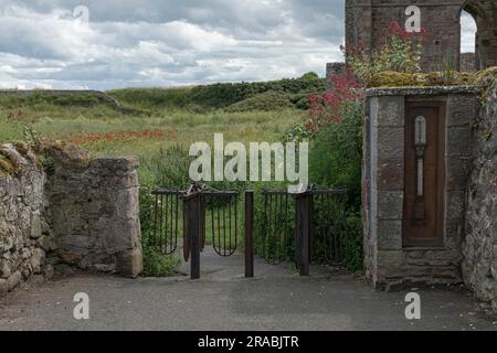 Tornelli rétro unici che conducono a un campo di papaveri con un barometro sulla parete nelle vicinanze Foto Stock