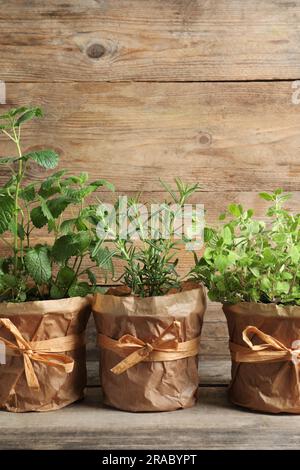 Diverse erbe aromatiche in vaso su tavola di legno Foto Stock