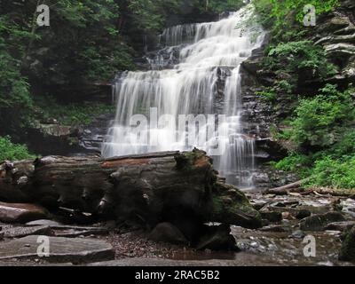 Le cascate Ganoga cadono nel Ricketts Glen State Park a Benton, Pennsylvania. Foto Stock