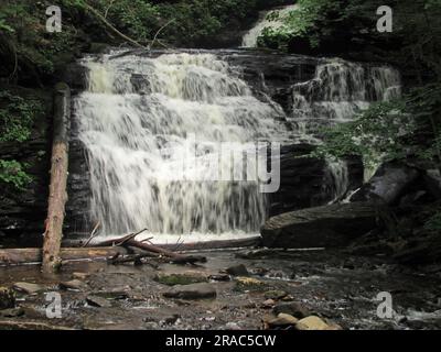 Le cascate Mohican cadono attraverso il Ricketts Glen State Park a Benton, Pennsylvania. Foto Stock