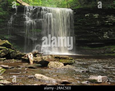 Le cascate Harrison Wright cadono nel Ricketts Glen State Park a Benton, Pennsylvania. Foto Stock