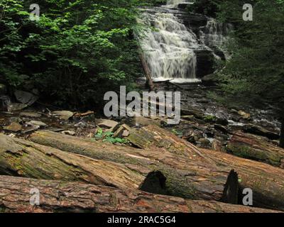 Le cascate Mohican cadono attraverso il Ricketts Glen State Park a Benton, Pennsylvania. Foto Stock