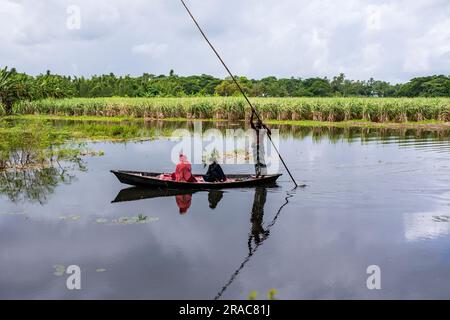 Le donne attraversano il Char Nimtolar Beel a Sirajdikhan upazila di Munshiganj durante il monsone. Bangladesh Foto Stock