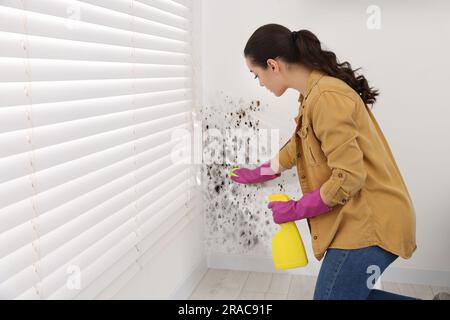 Donna con guanti di gomma che utilizza un dispositivo di rimozione dello stampo e una spazzola a parete in camera Foto Stock